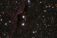 VdB 142