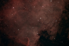NGC 7000
