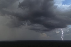 single frame