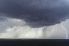 single frame