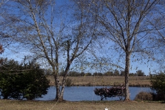 Oakhurst Farm